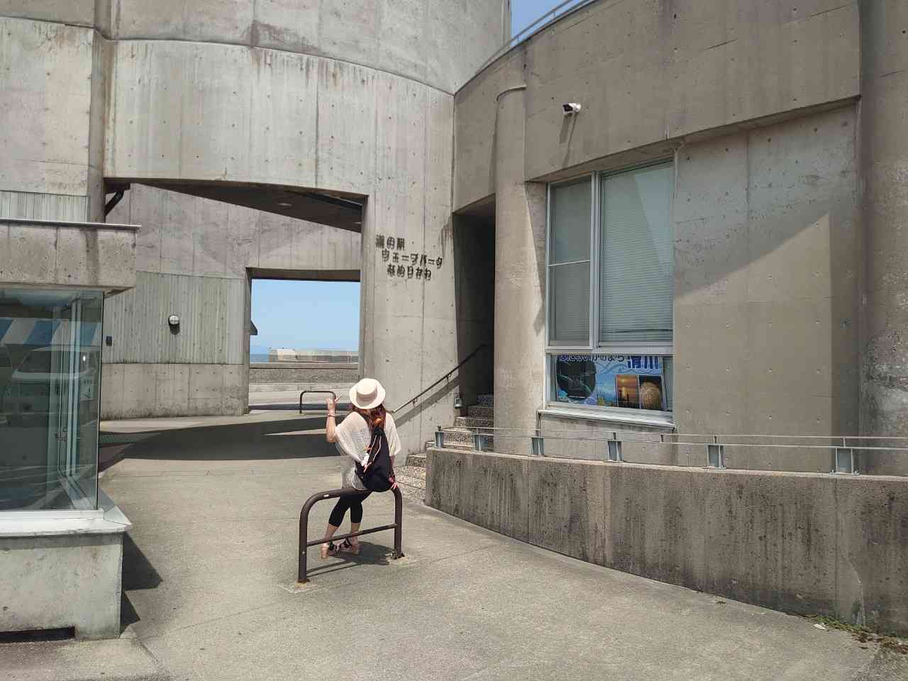 投稿された画像