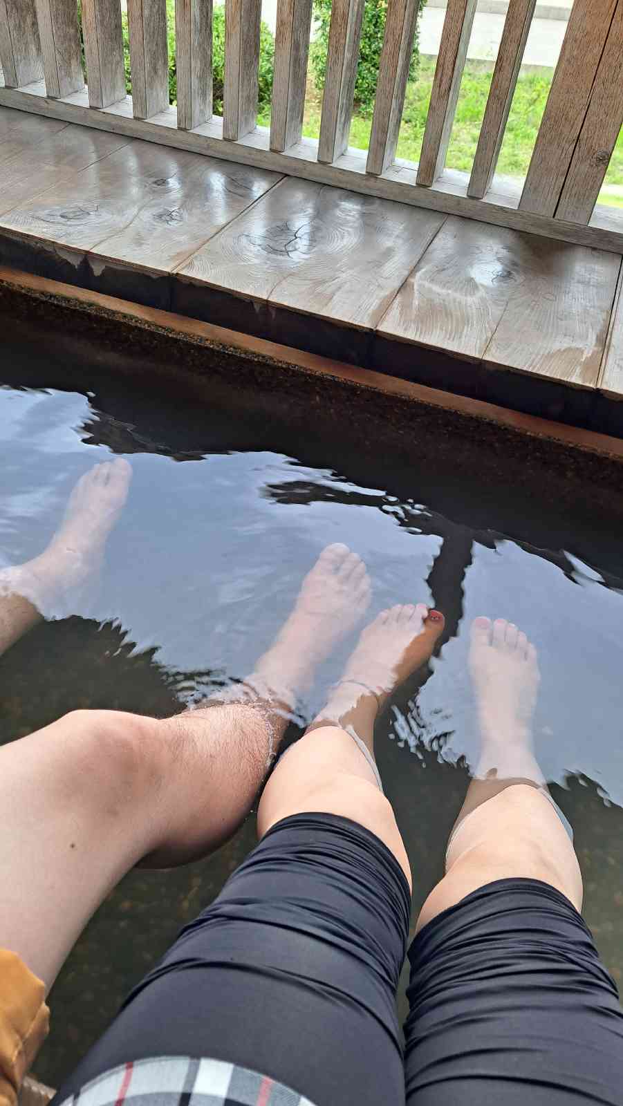 投稿された画像