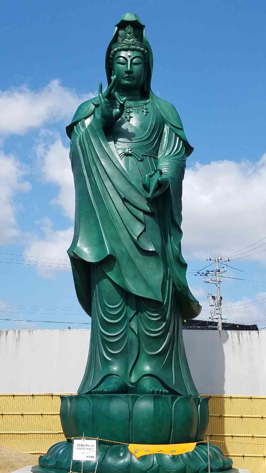投稿された画像