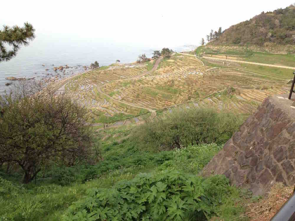 投稿された画像