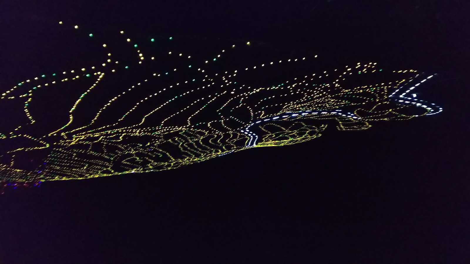 投稿された画像