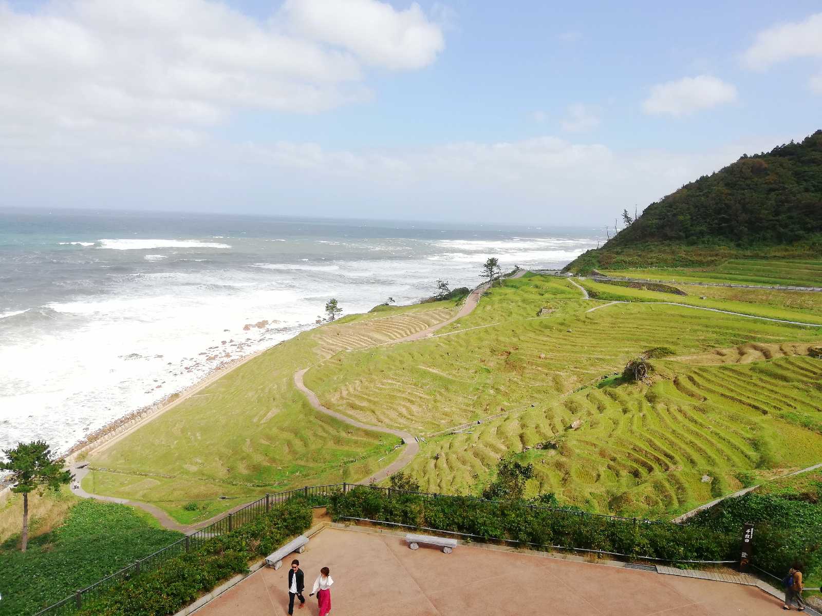 投稿された画像