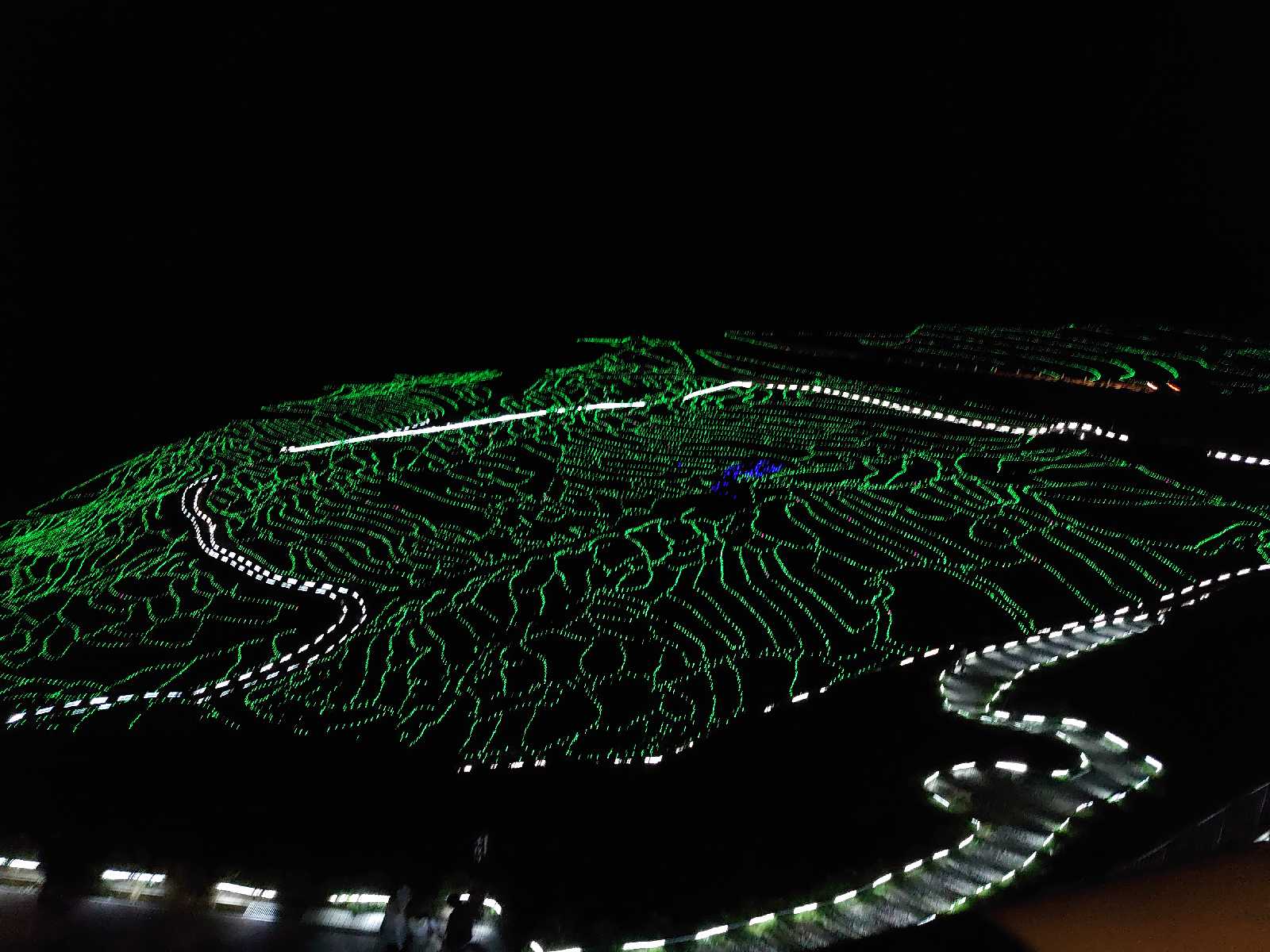 投稿された画像