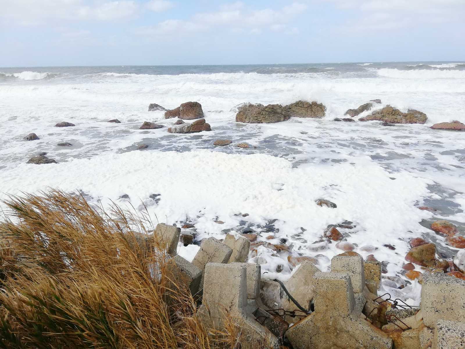 投稿された画像