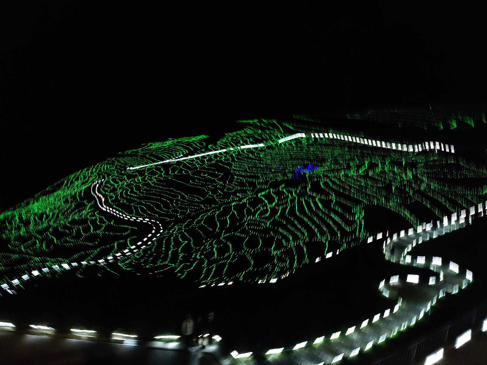 投稿された画像