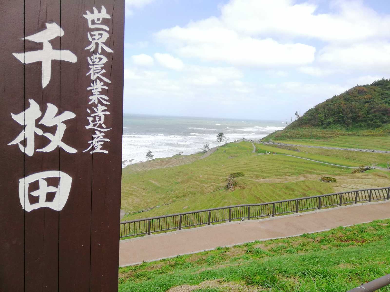 投稿された画像