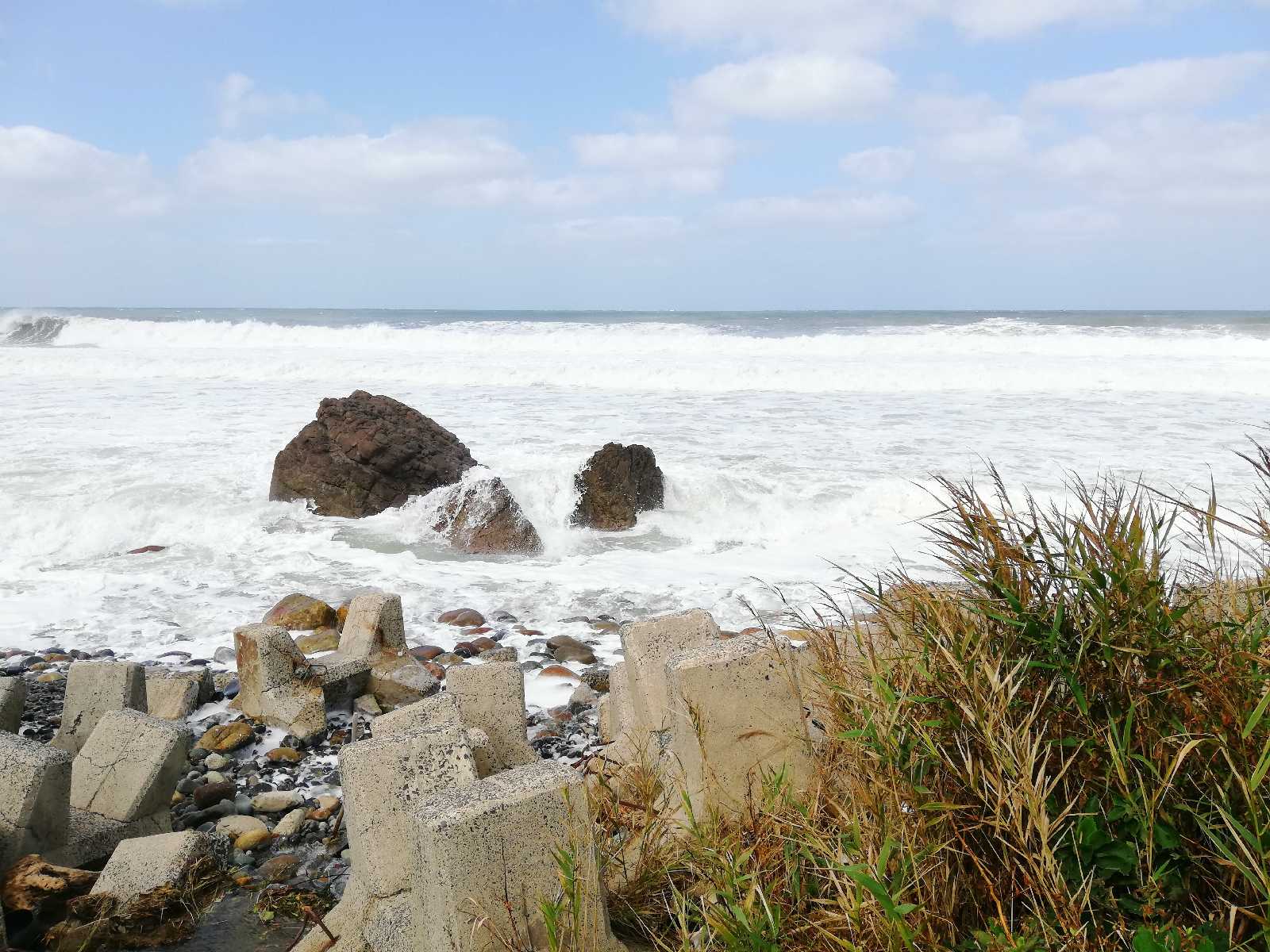 投稿された画像