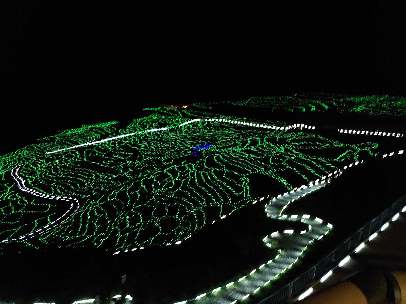 投稿された画像