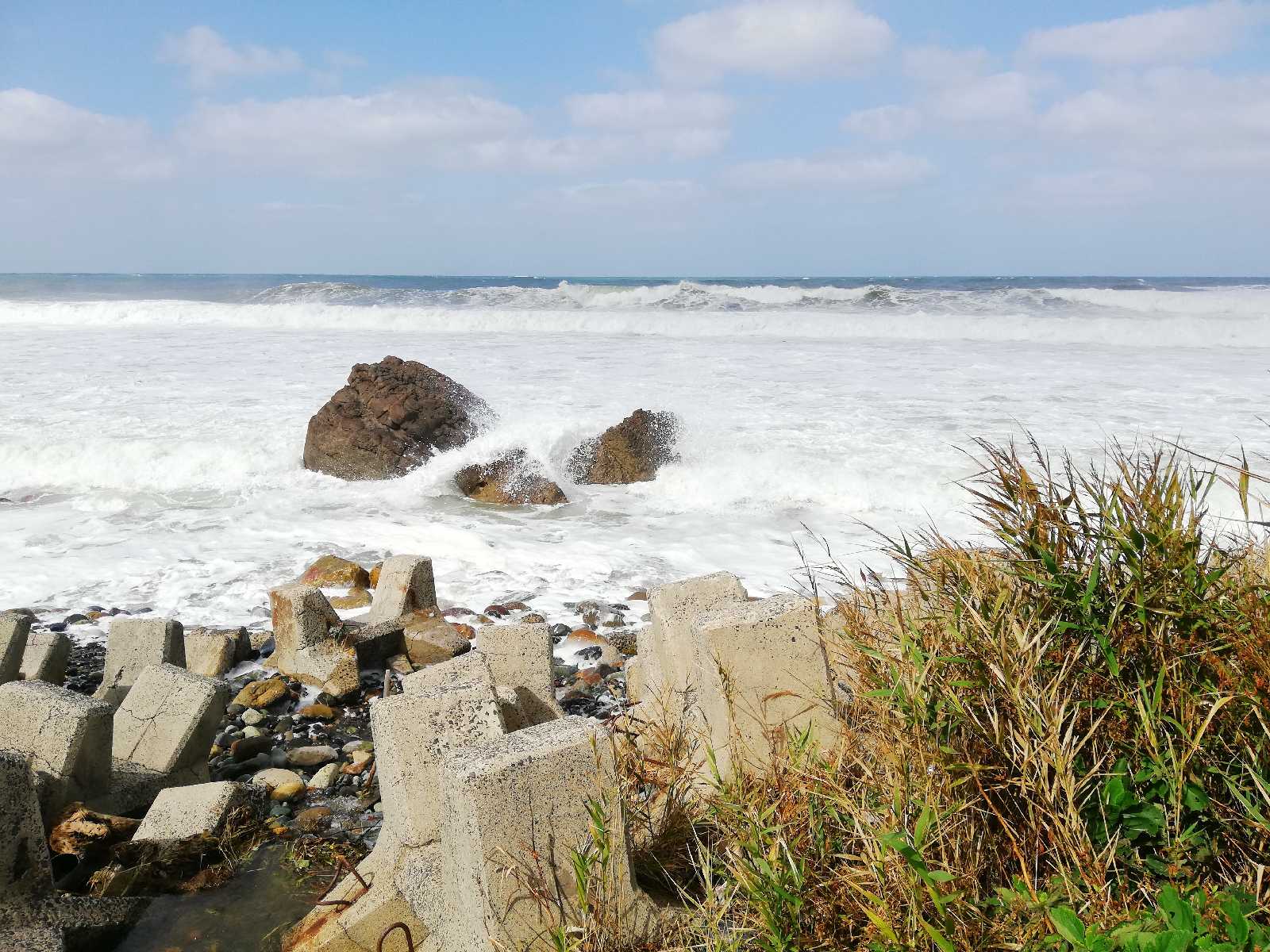 投稿された画像