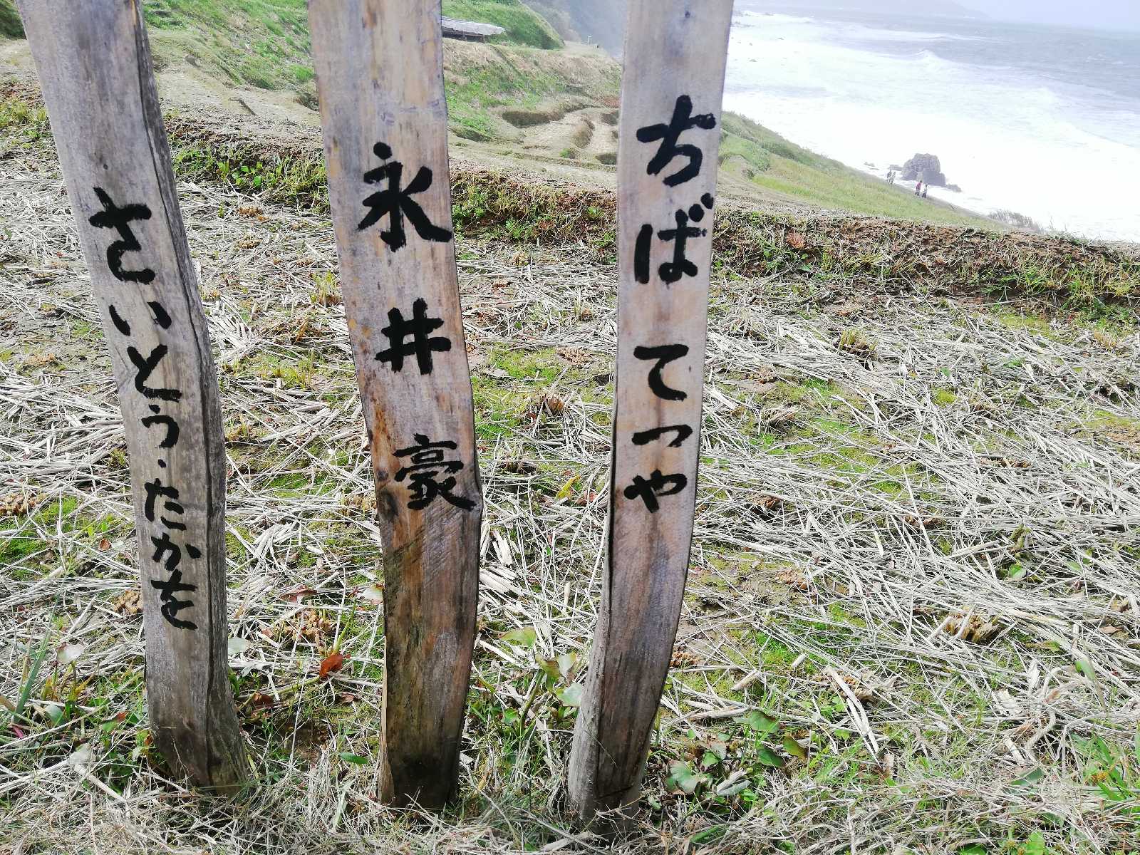 投稿された画像