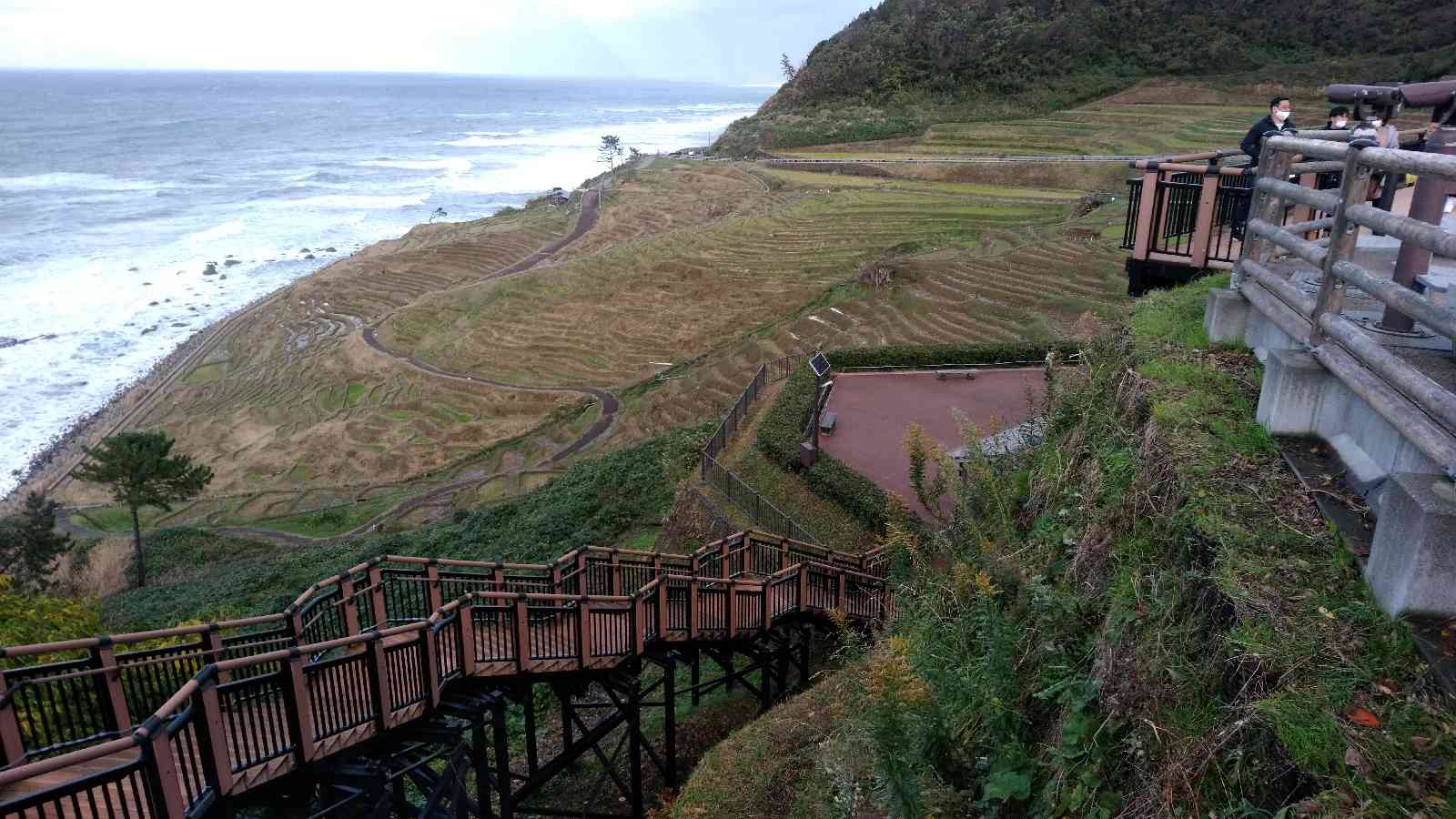 投稿された画像