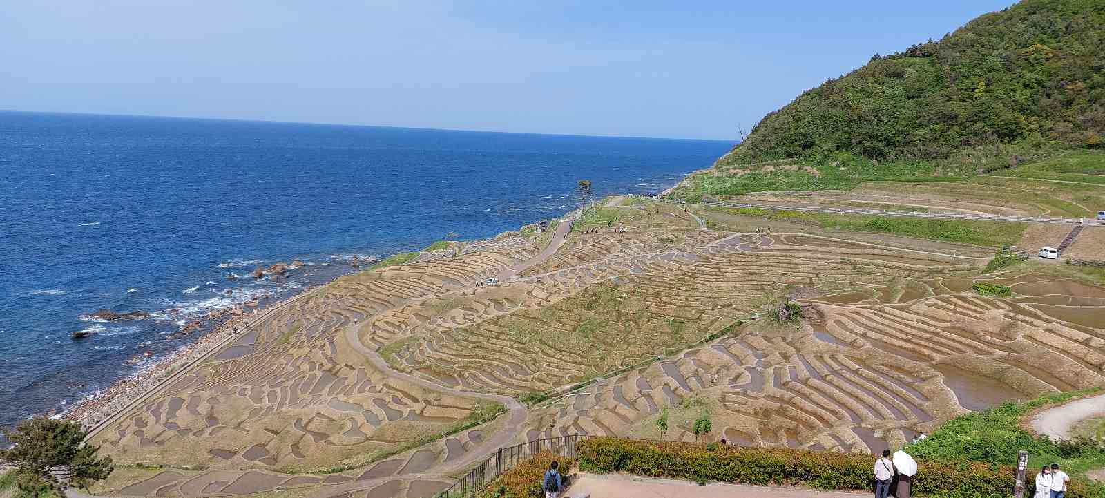 投稿された画像