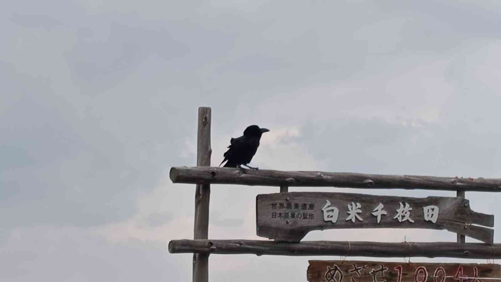 道の駅 千枚田ポケットパークの写真