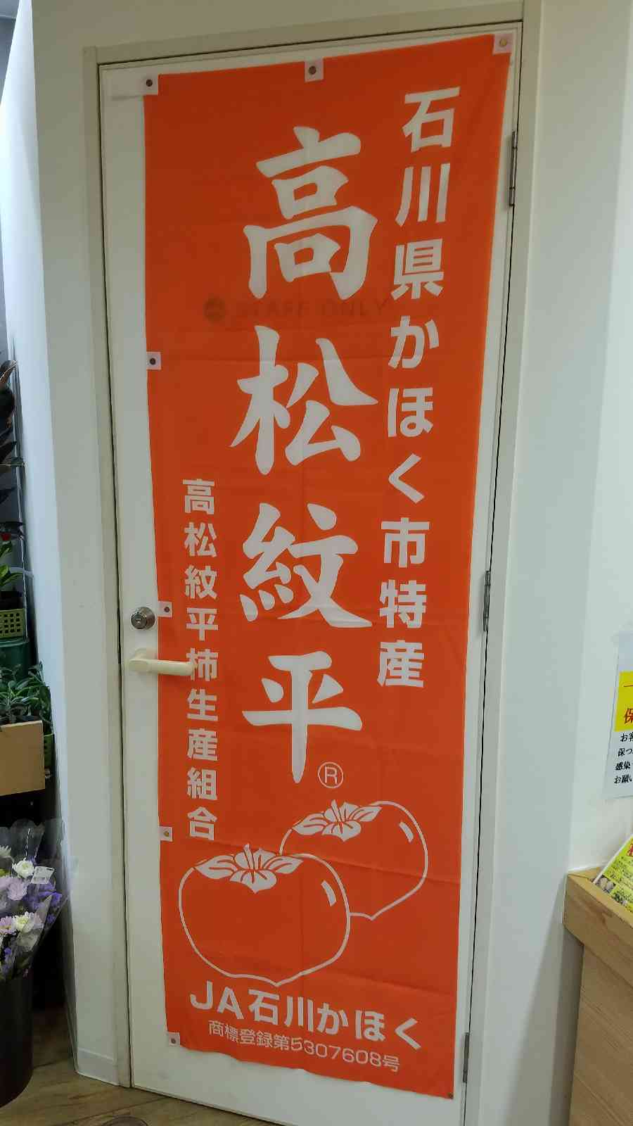 投稿された画像