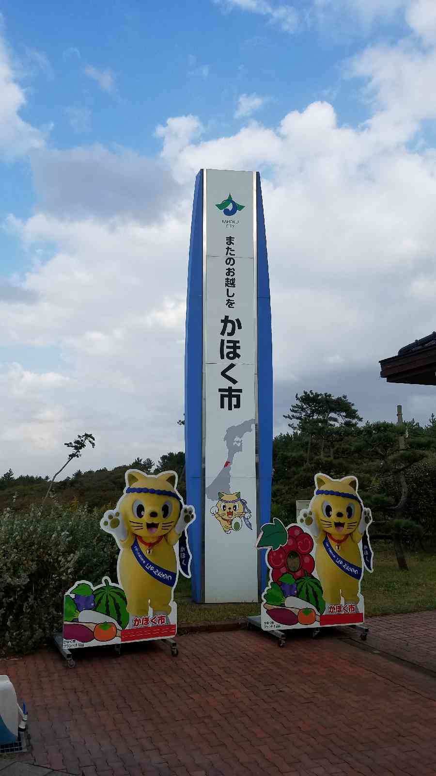 投稿された画像