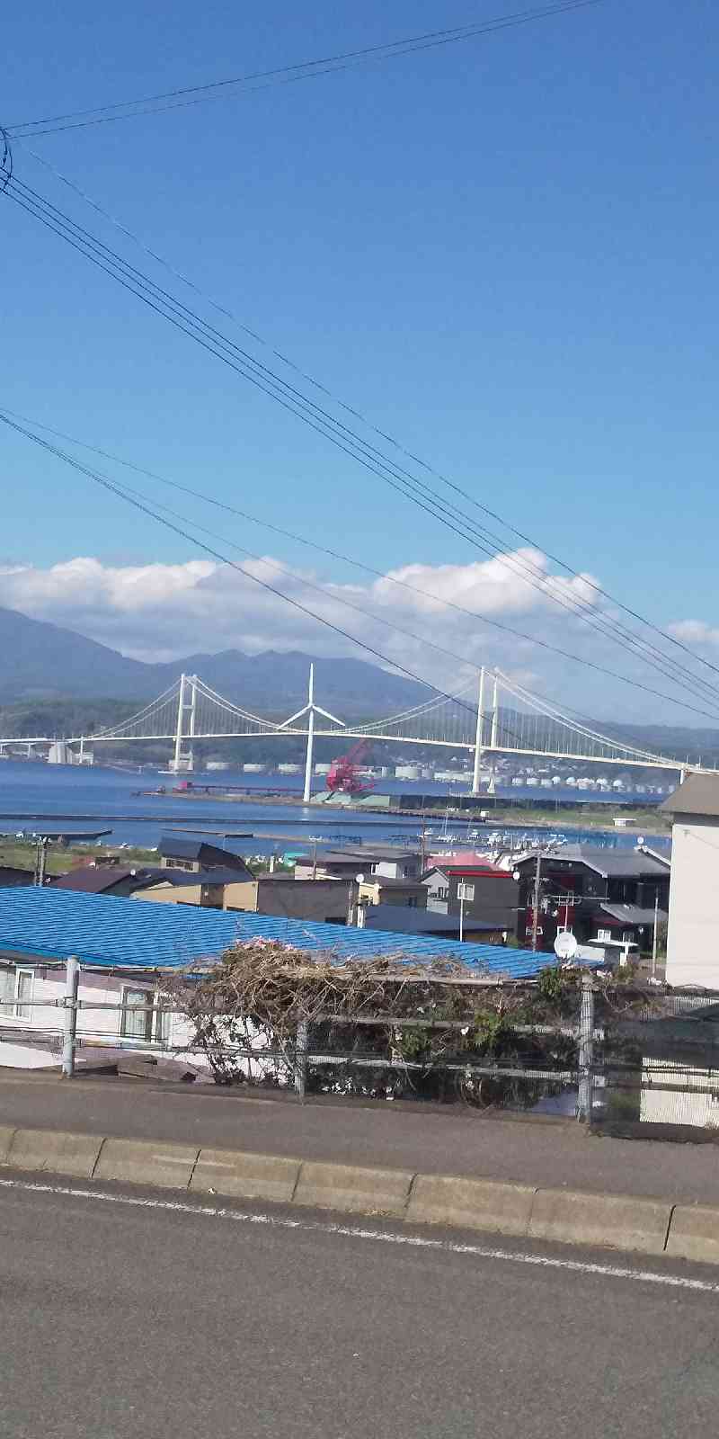 投稿された画像