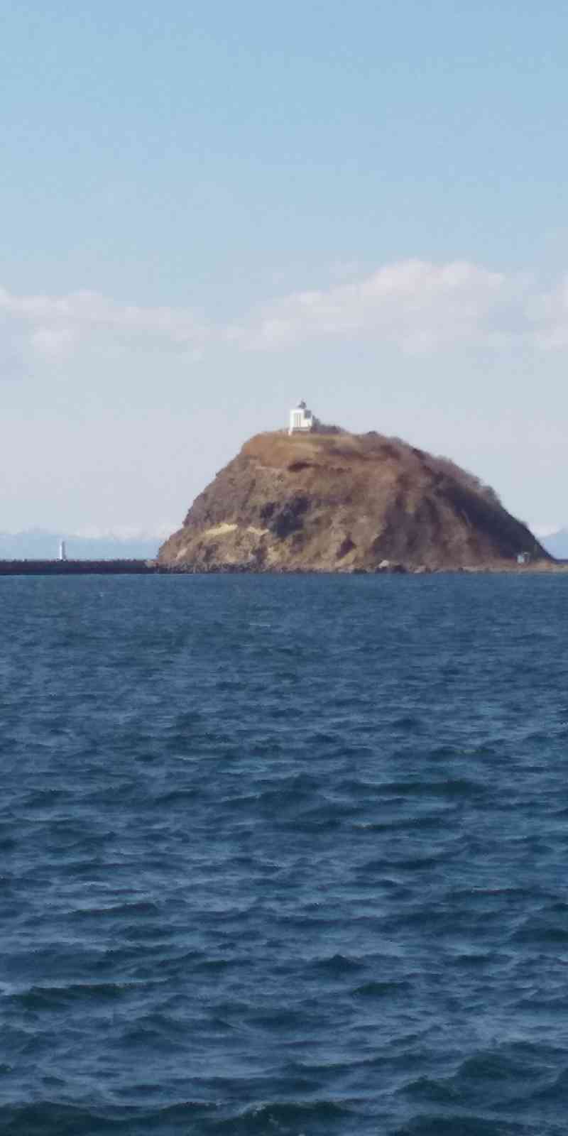 投稿された画像