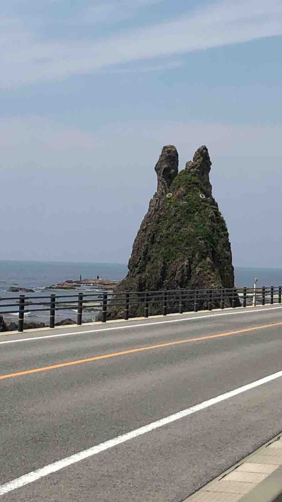投稿された画像