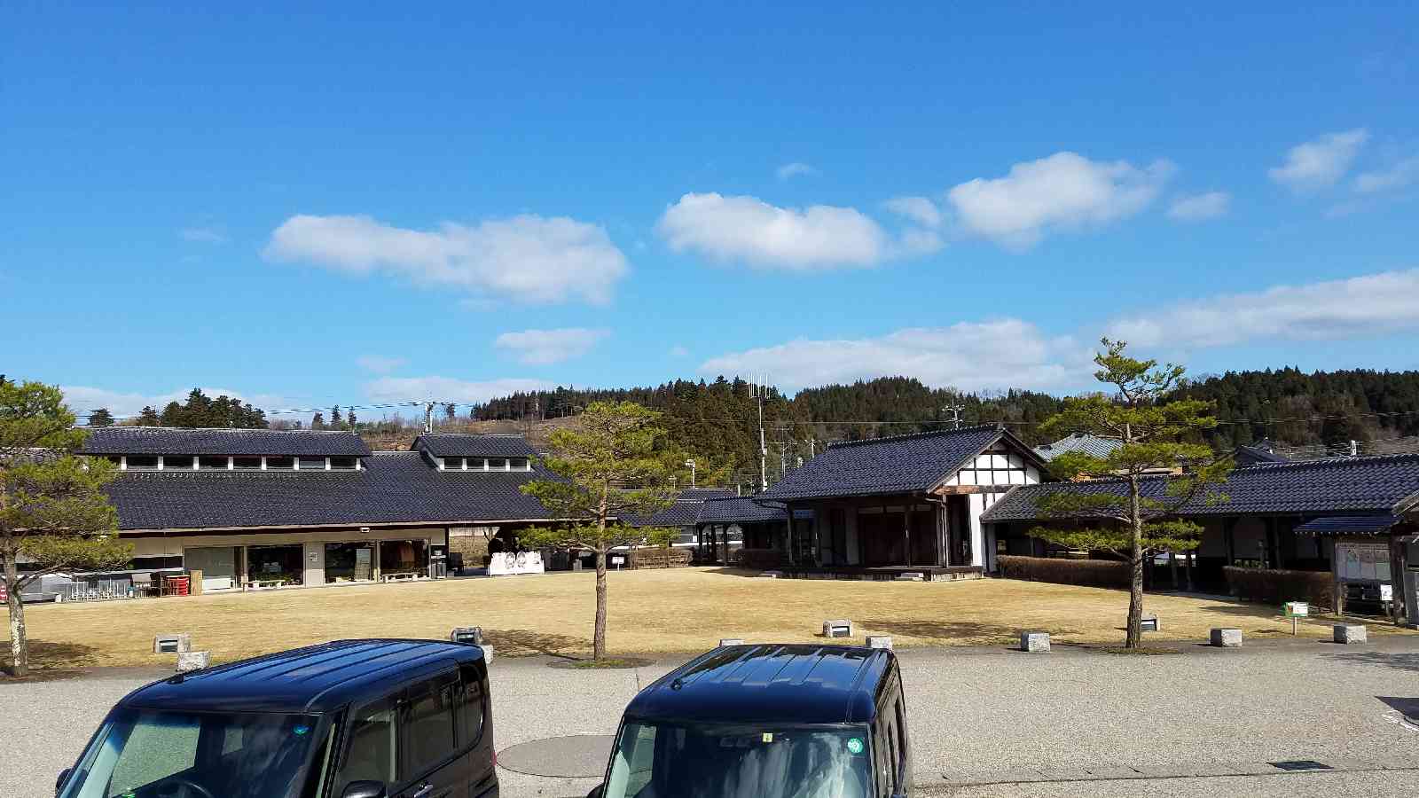 投稿された画像