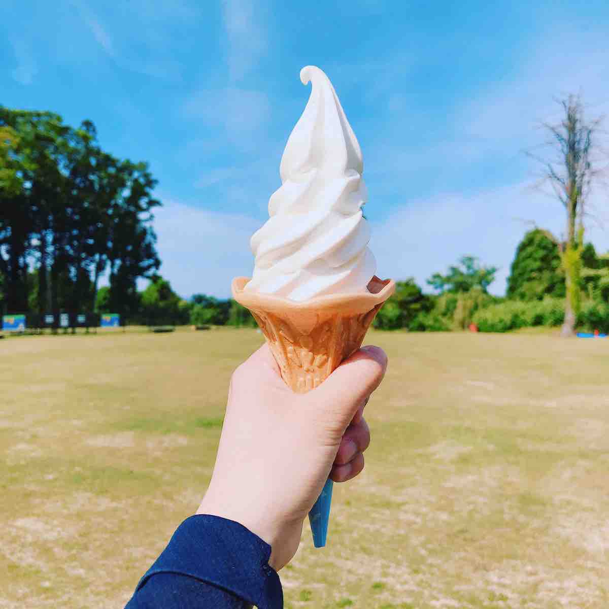 投稿された画像