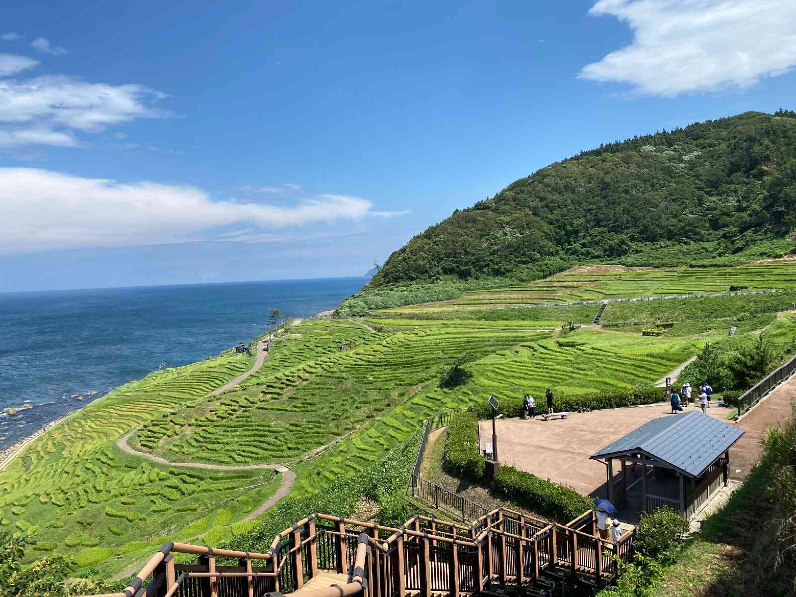 道の駅 すず塩田村の写真