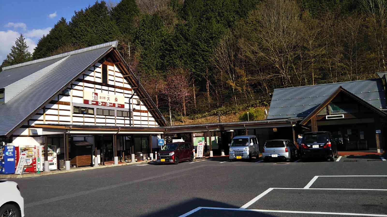 投稿された画像