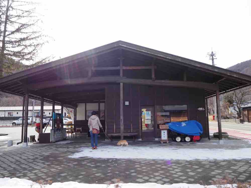 投稿された画像