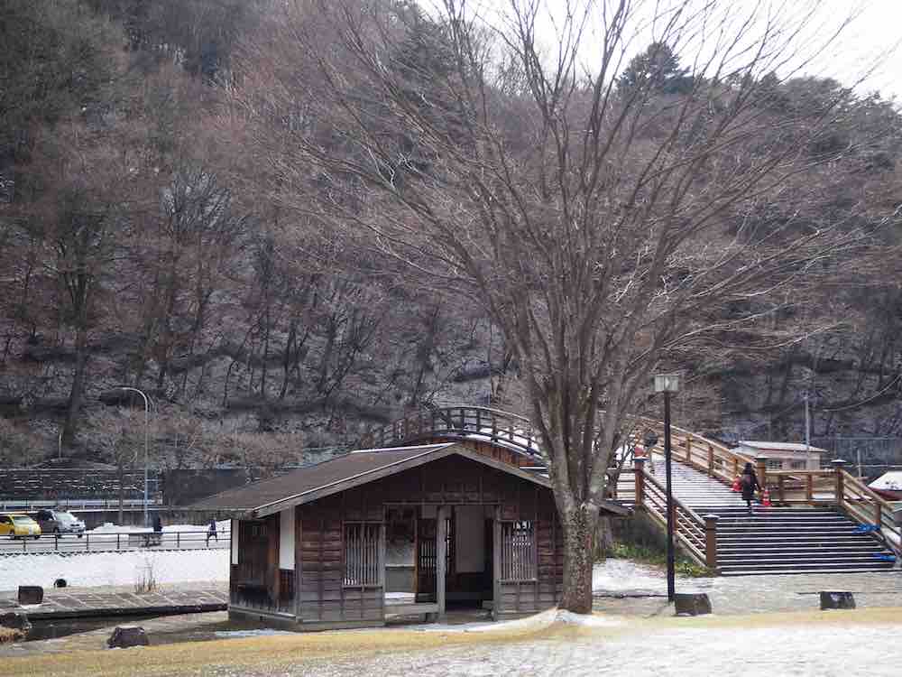 投稿された画像