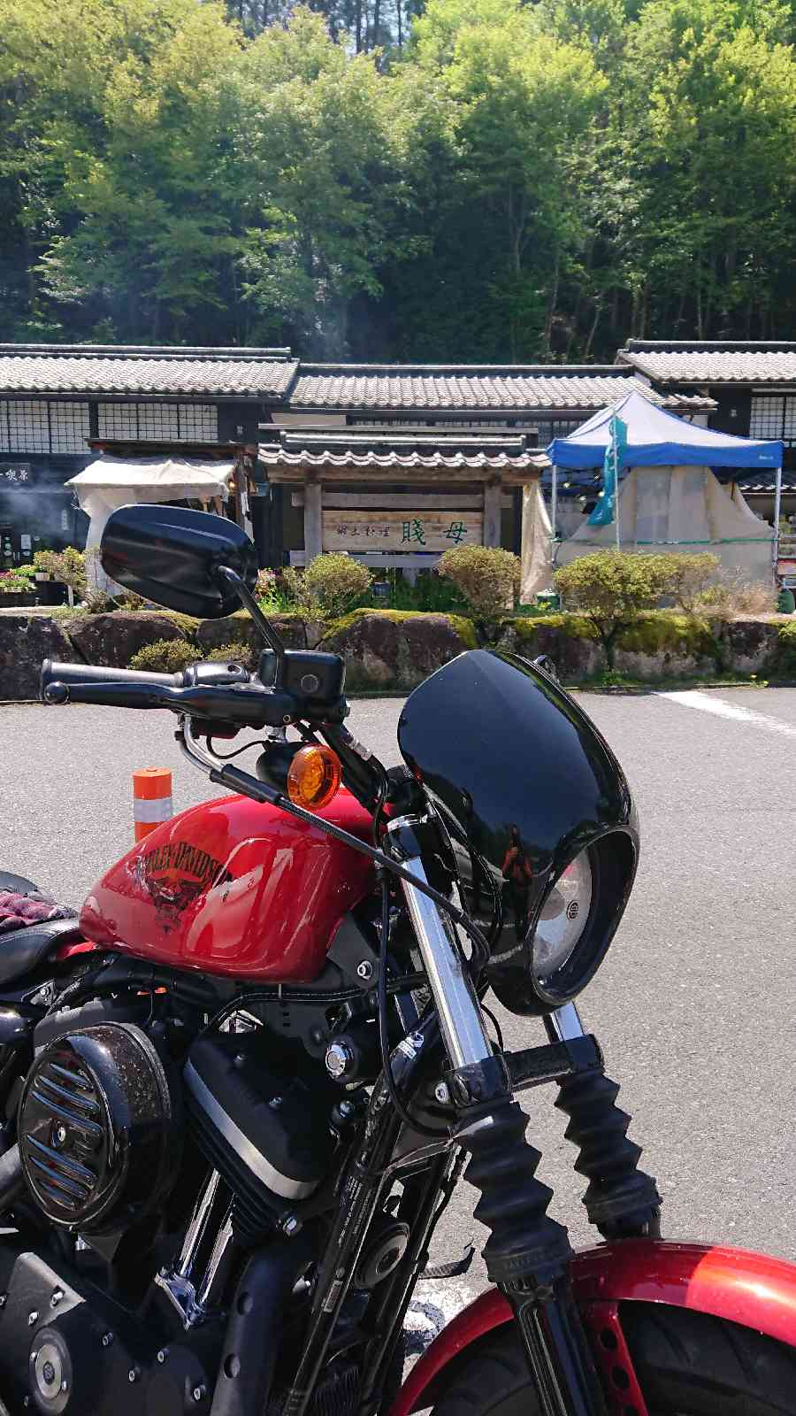 投稿された画像