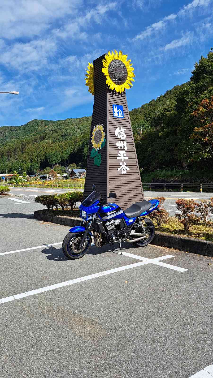 投稿された画像