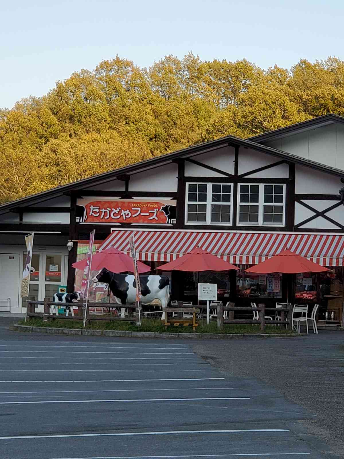 投稿された画像