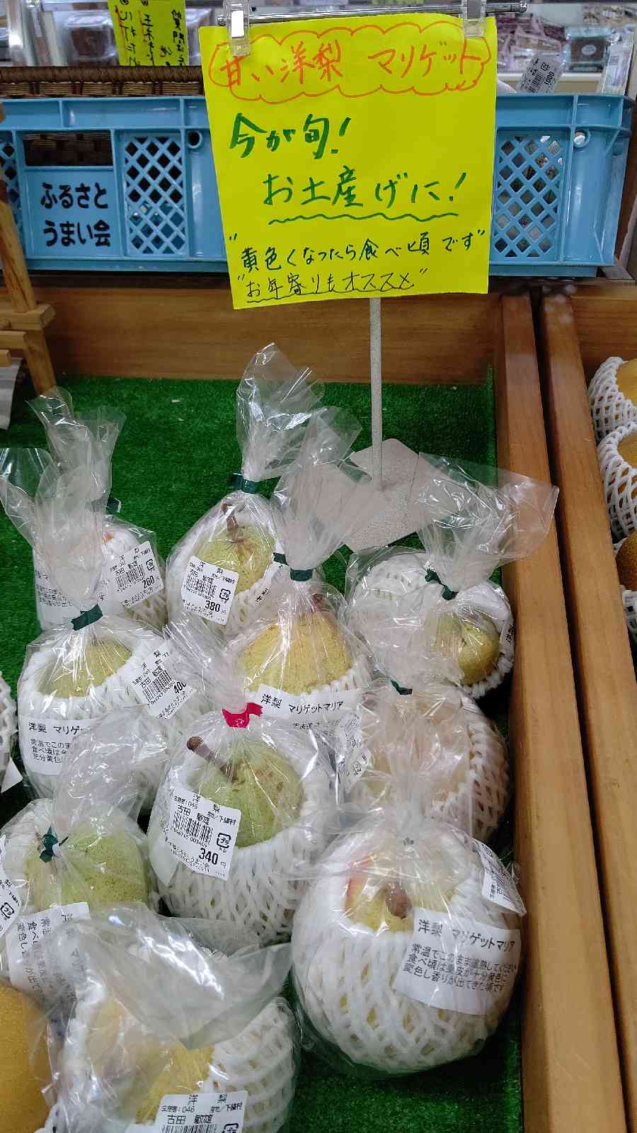 投稿された画像