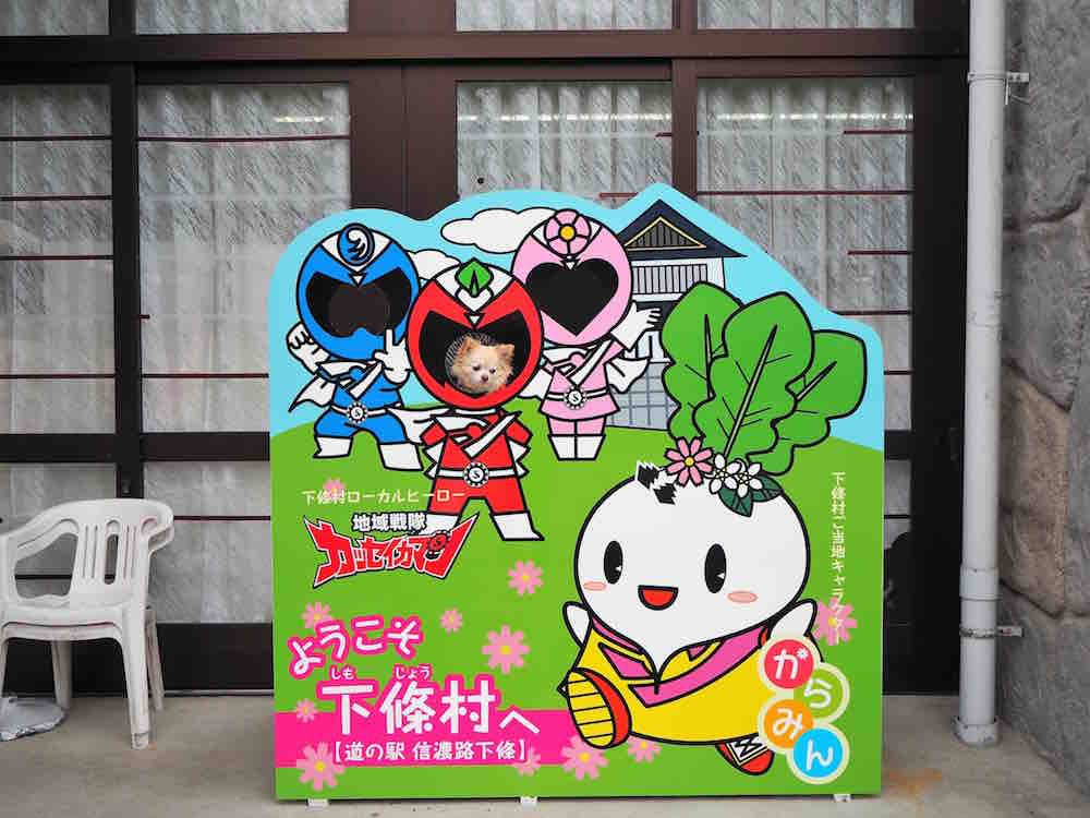 投稿された画像