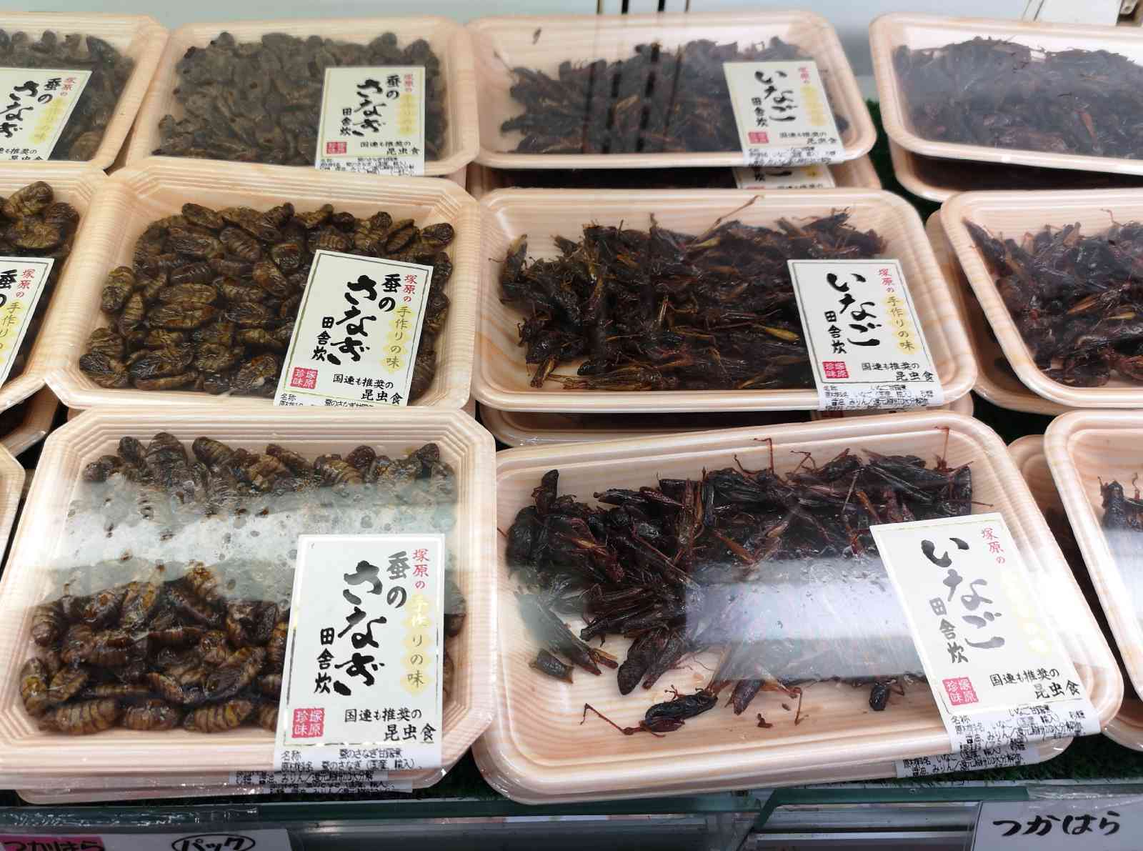 道の駅 南アルプスむら長谷の写真