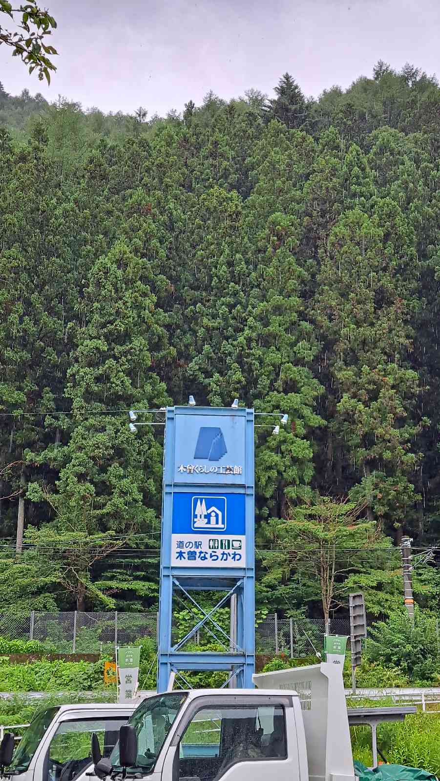 投稿された画像