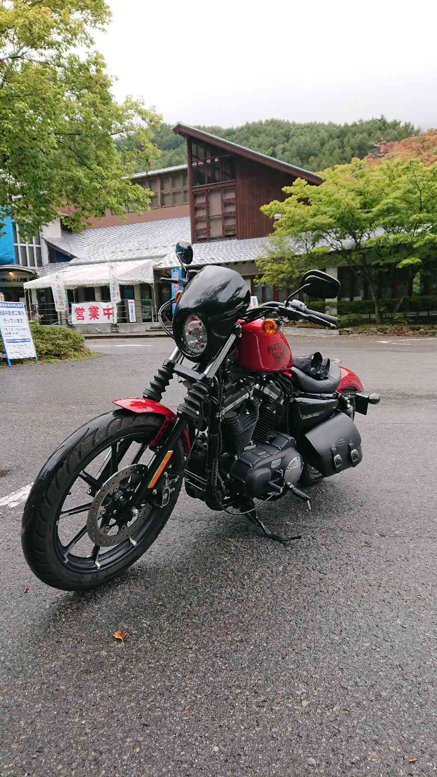 投稿された画像