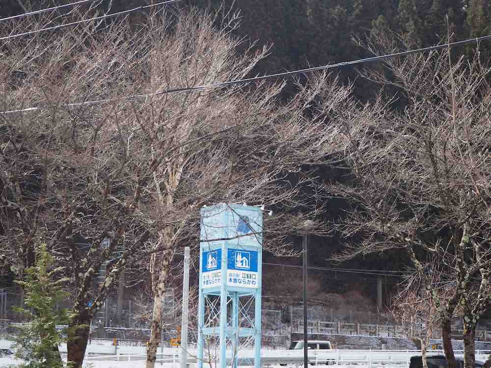 投稿された画像