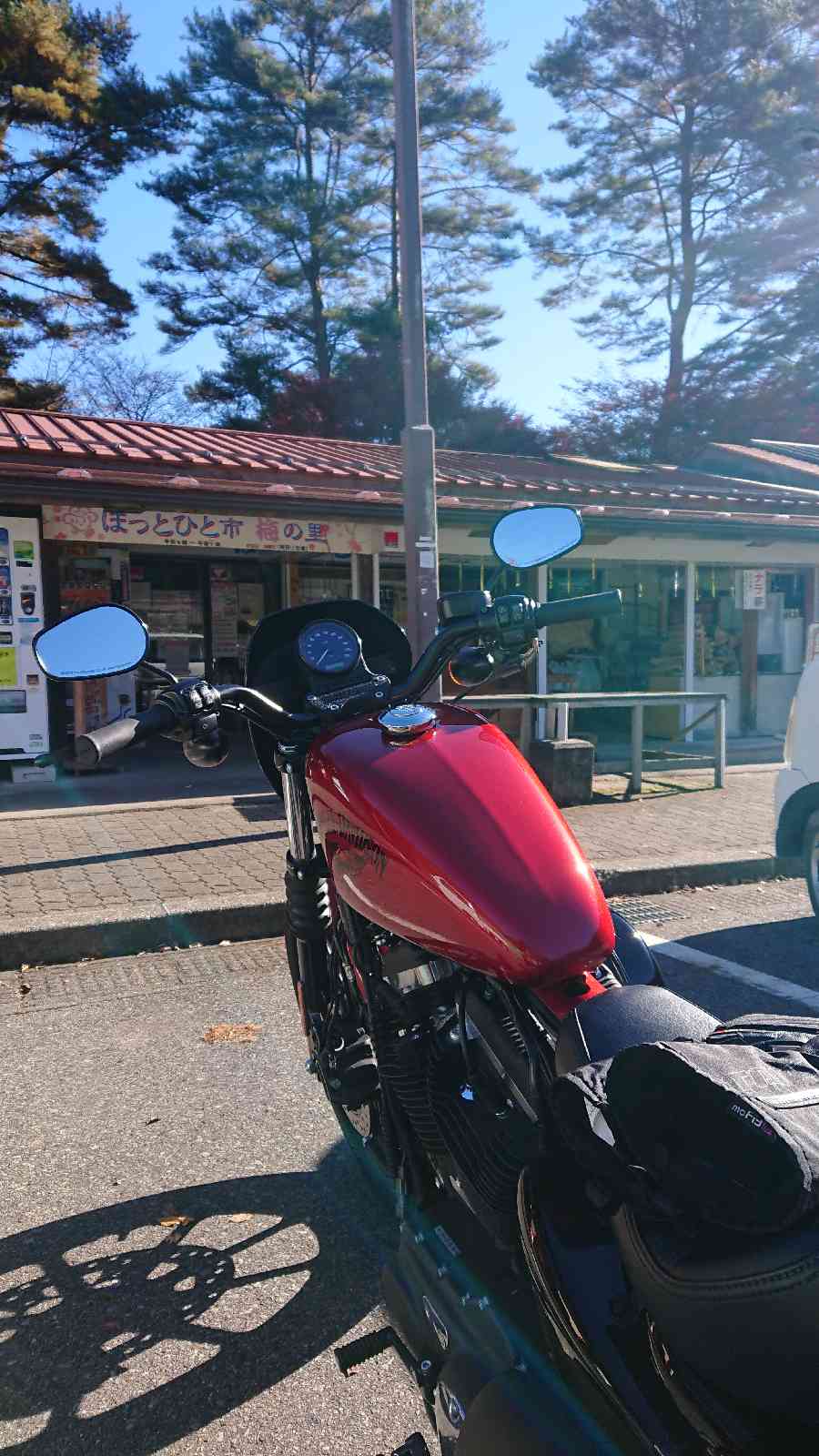 投稿された画像