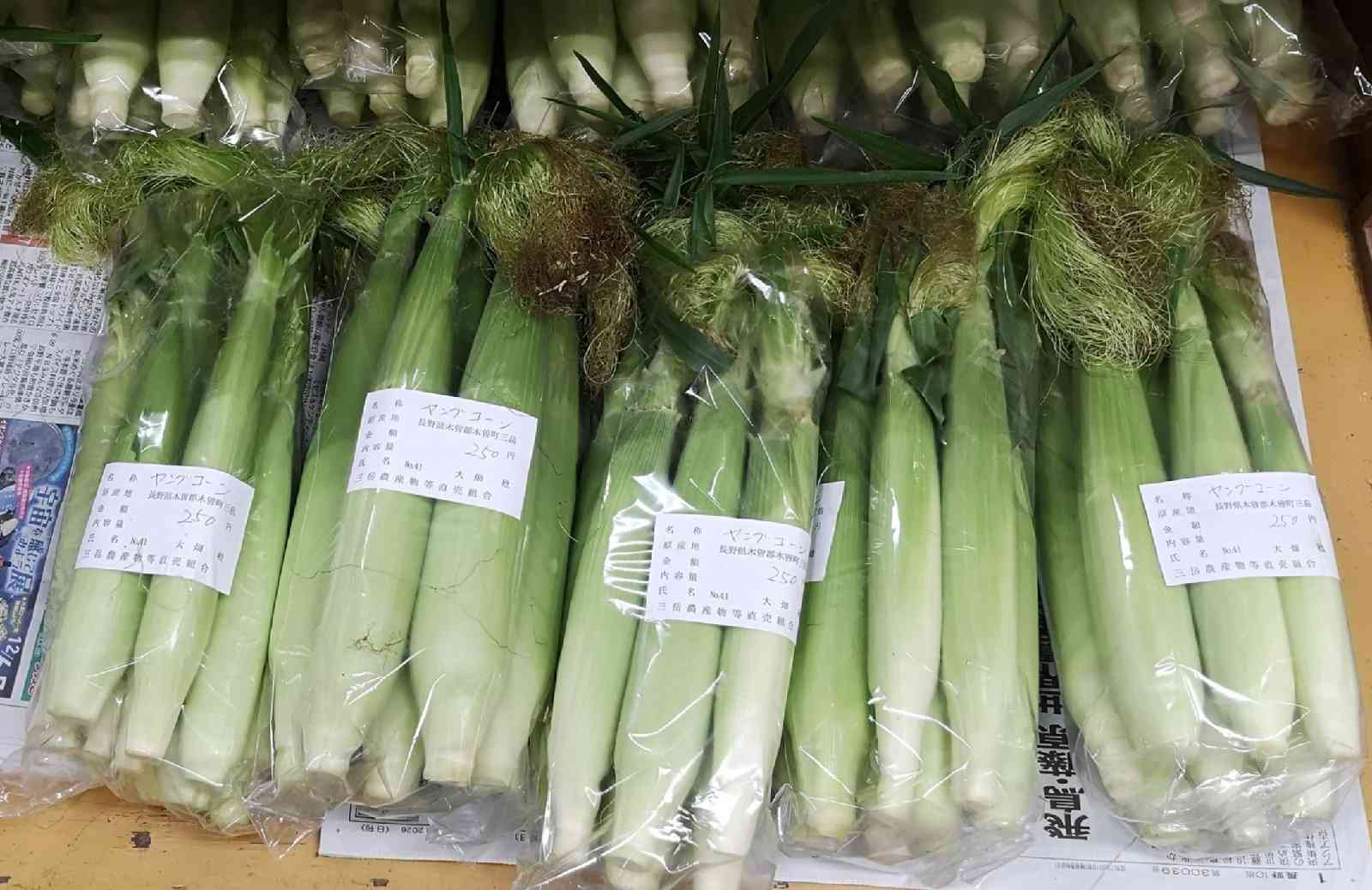 道の駅 三岳の写真