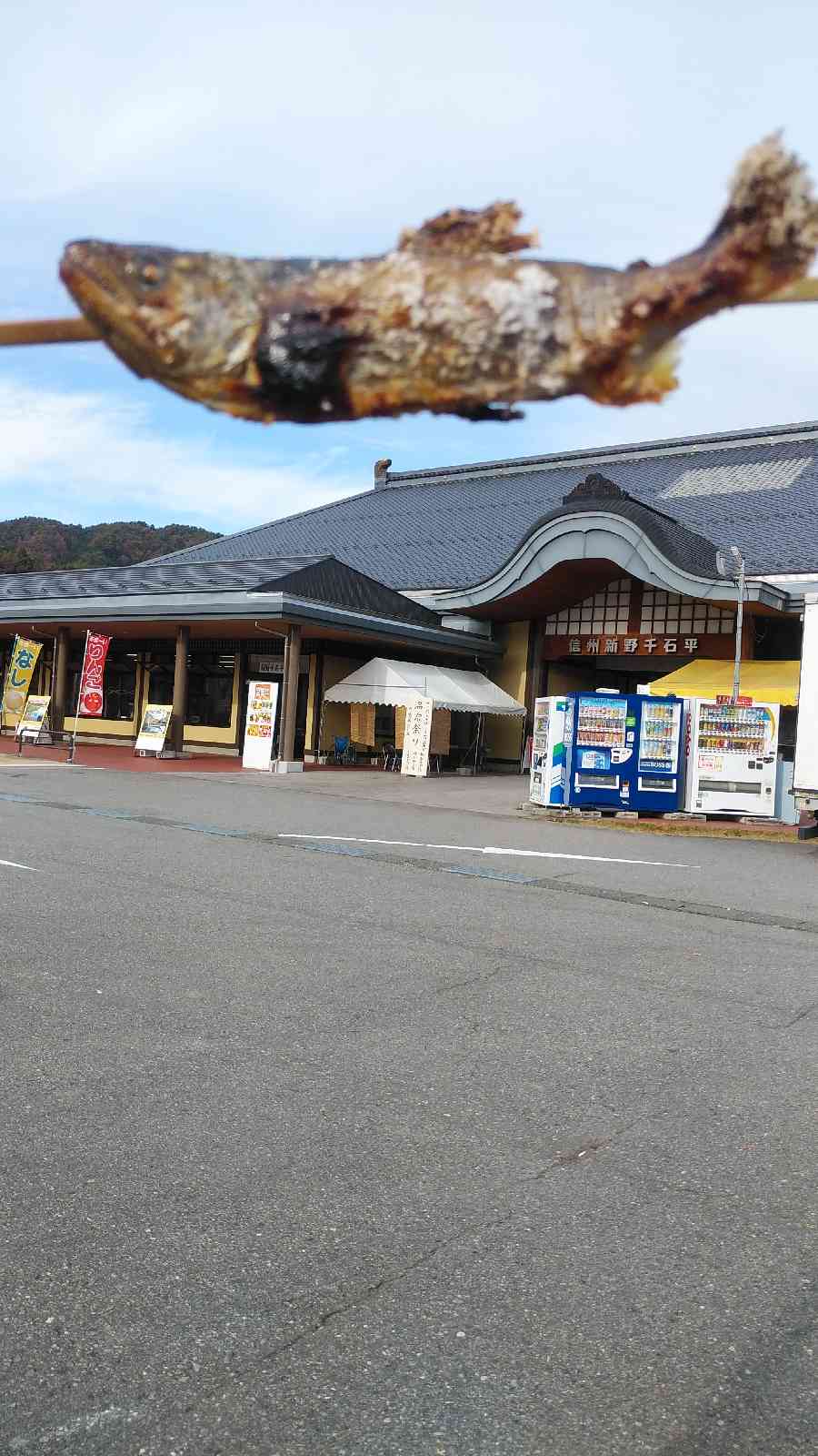 投稿された画像