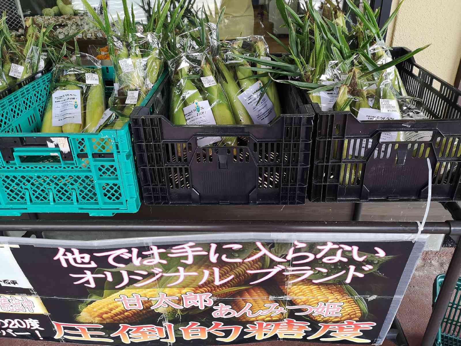 道の駅 信州新野千石平の写真