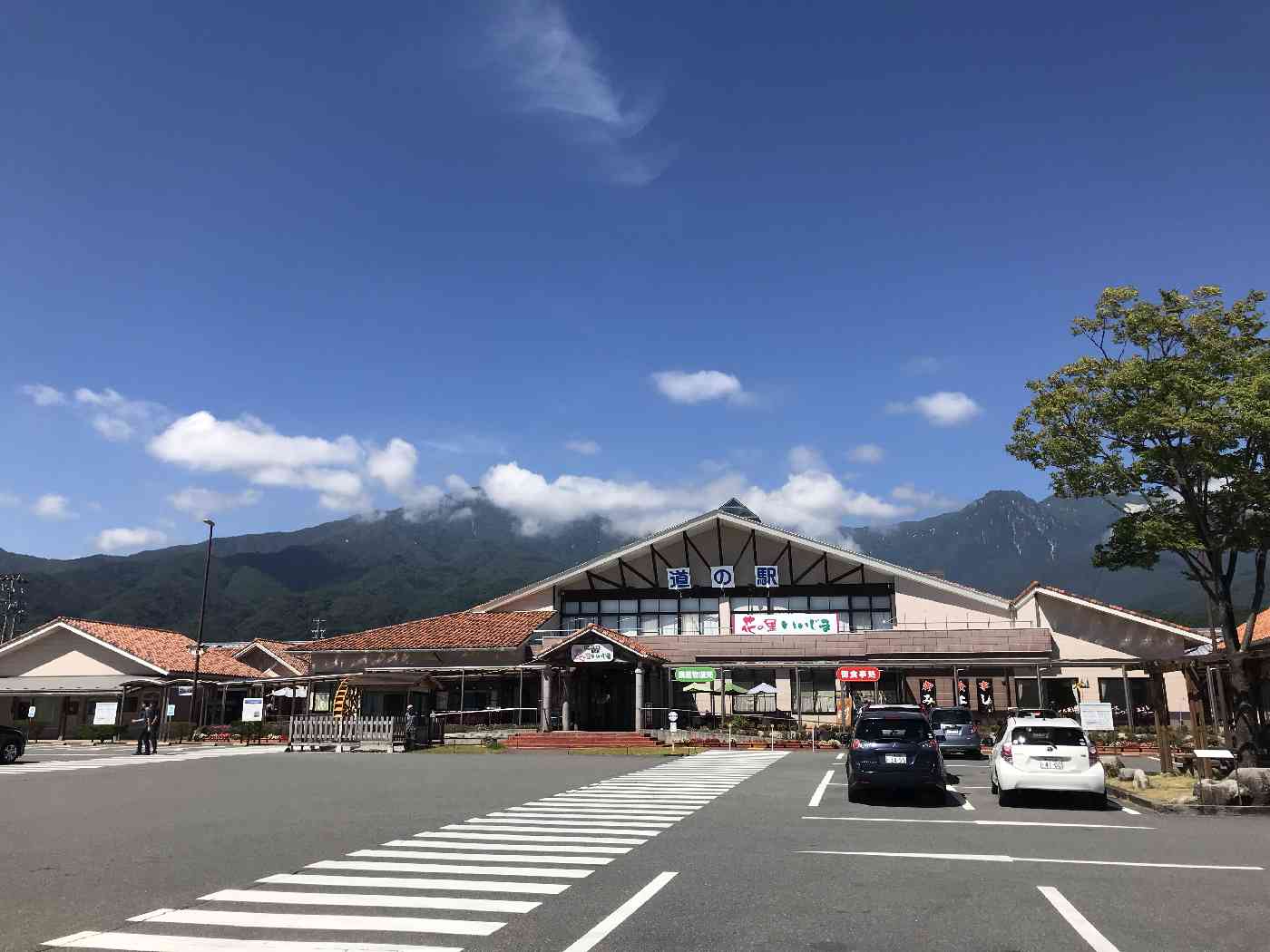 投稿された画像