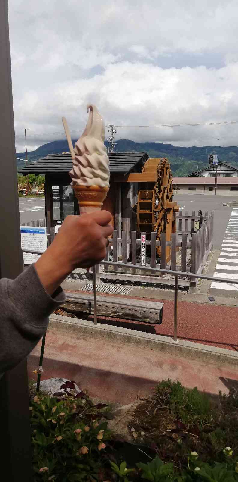 道の駅 花の里いいじまの写真