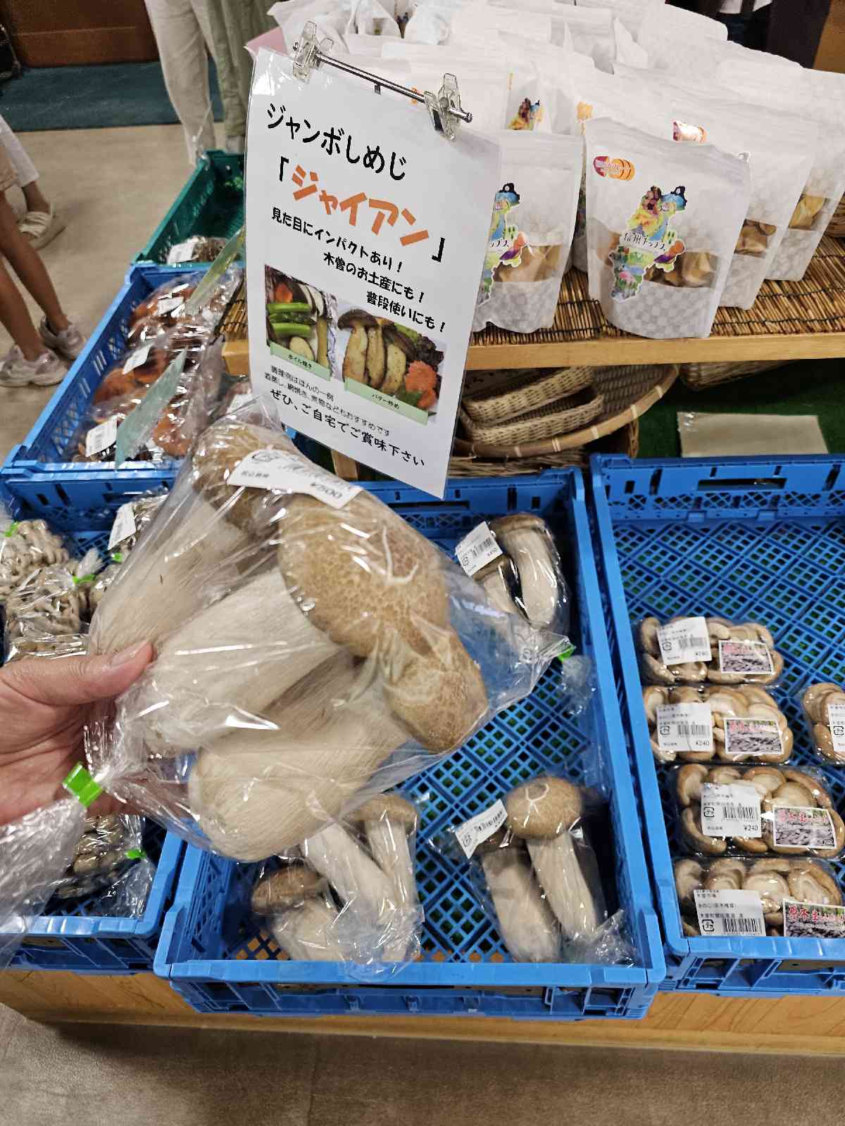 道の駅 木曽福島の写真