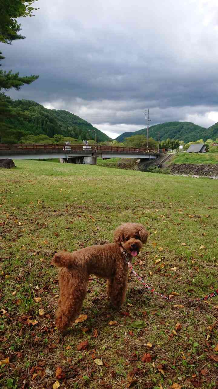 投稿された画像