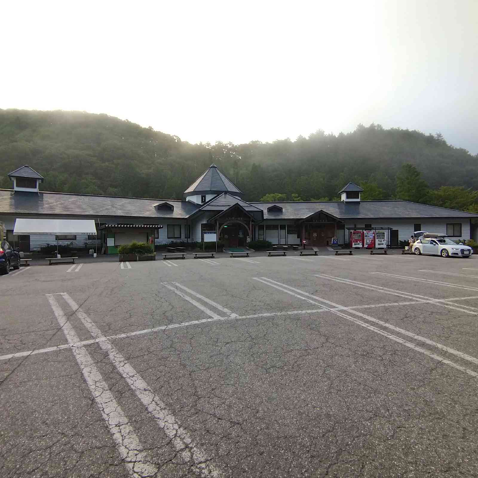 投稿された画像