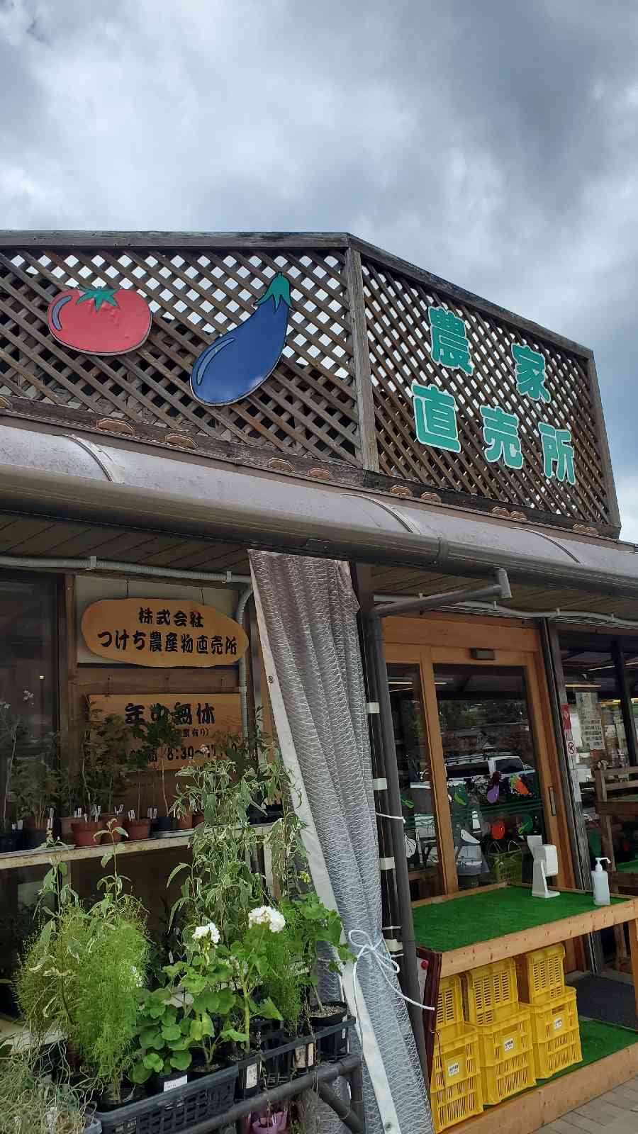 投稿された画像