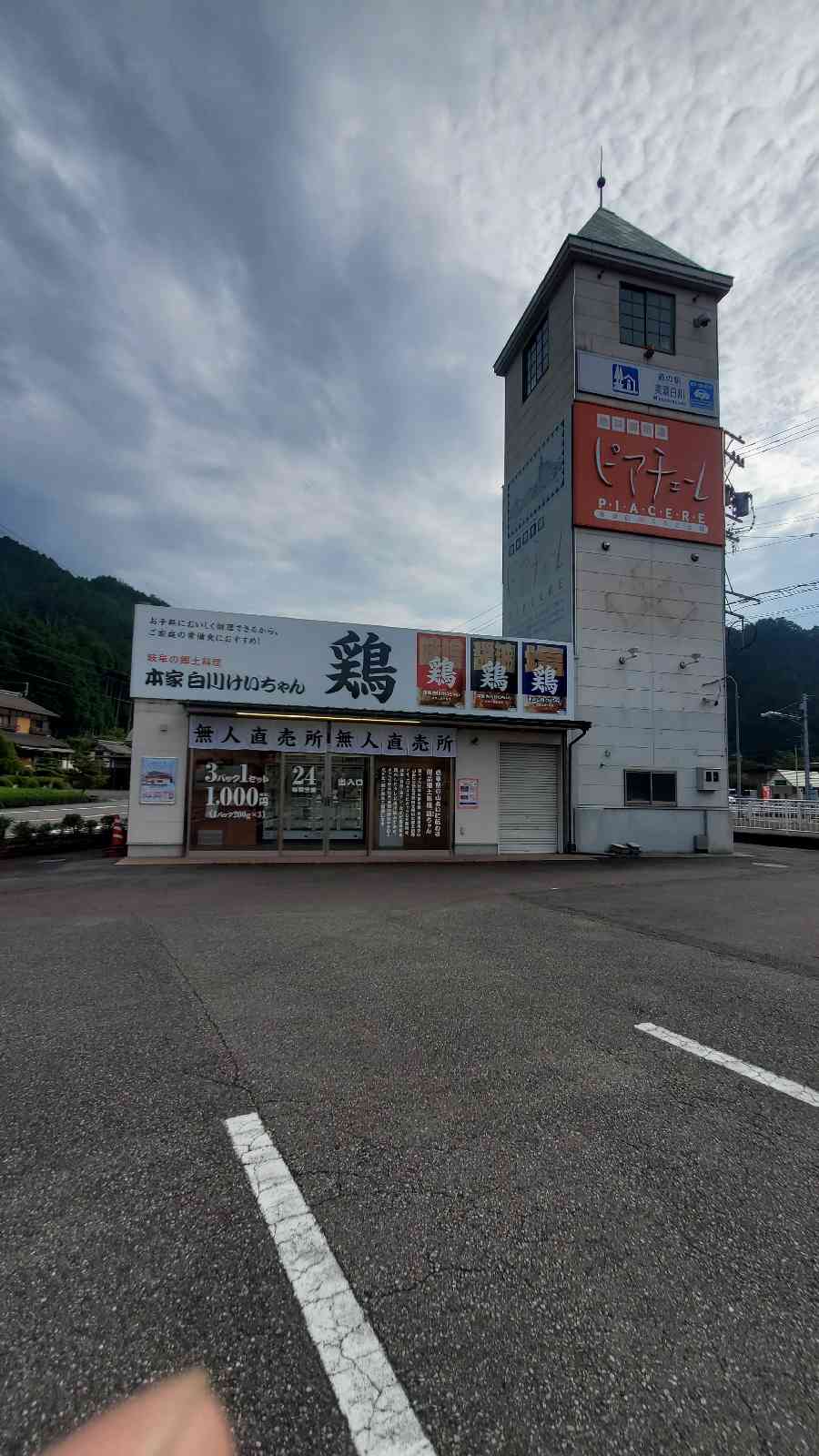 投稿された画像