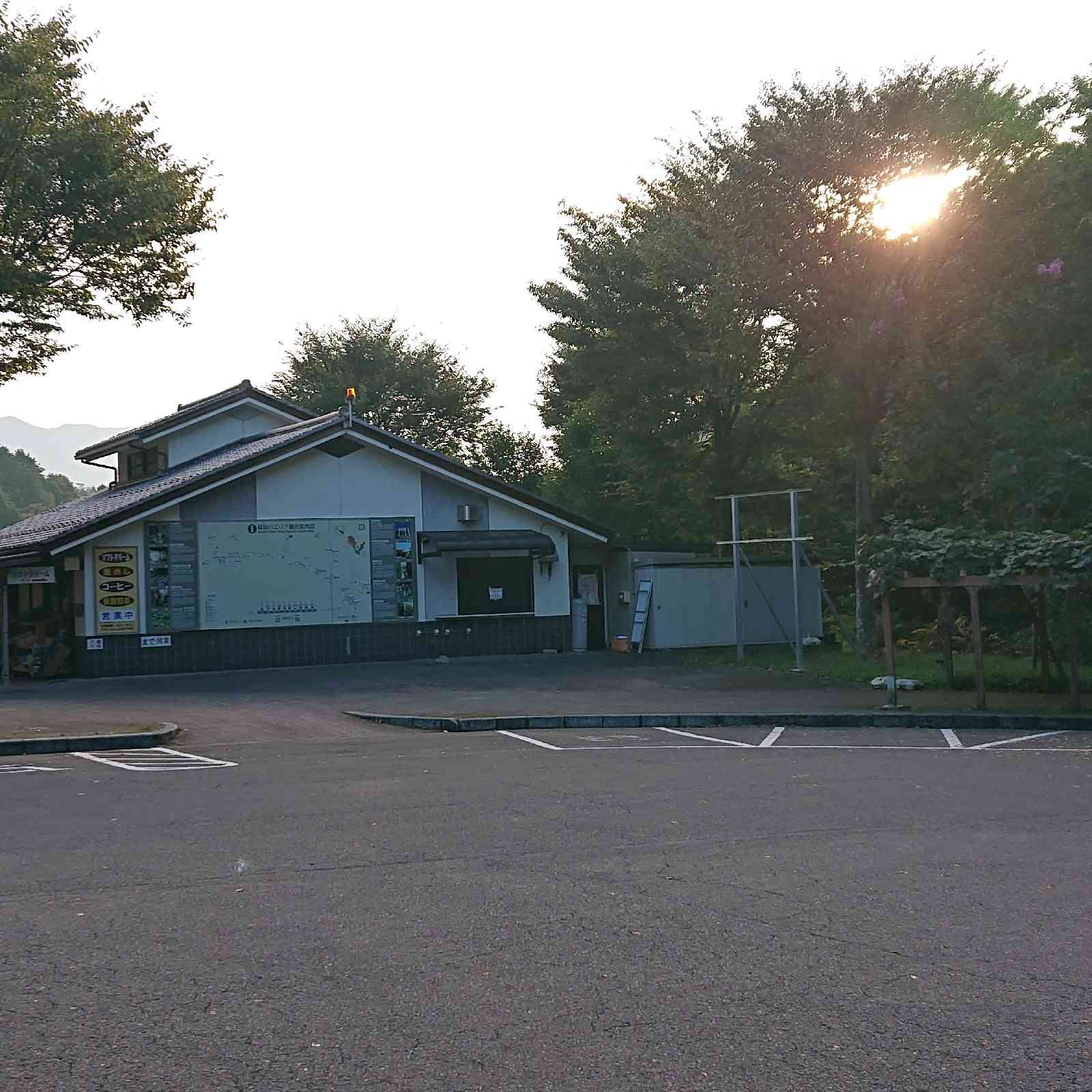 投稿された画像