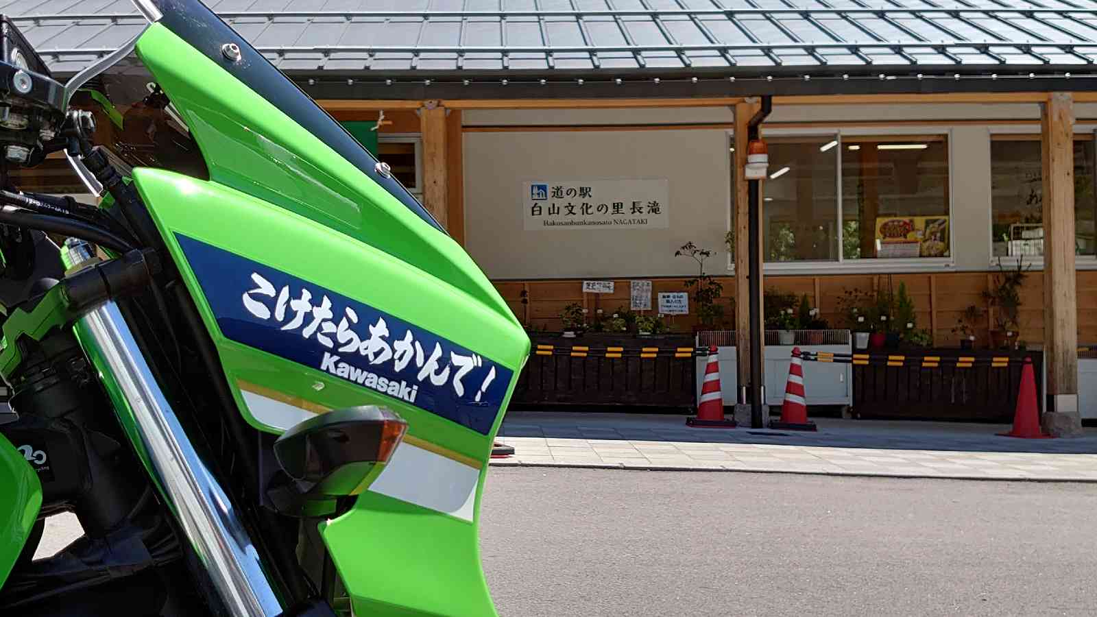 投稿された画像